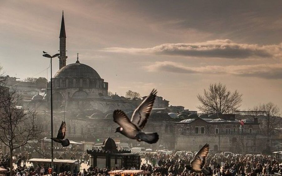 Istanbul: 1 or 2 -Day Private Guided City Tour - Why this private Istanbul tour can work well