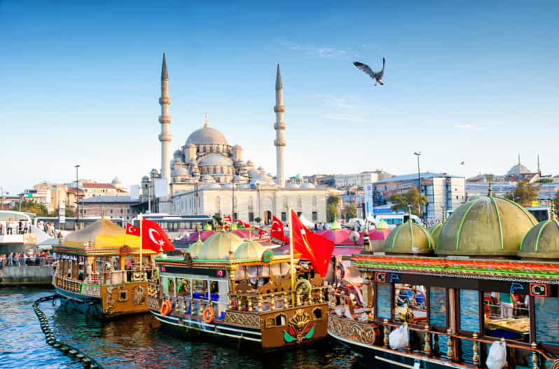 Istanbul: 1 or 2-Day Private Guided Tour with Hotel Transfer - Hagia Sophia and the Blue Mosque