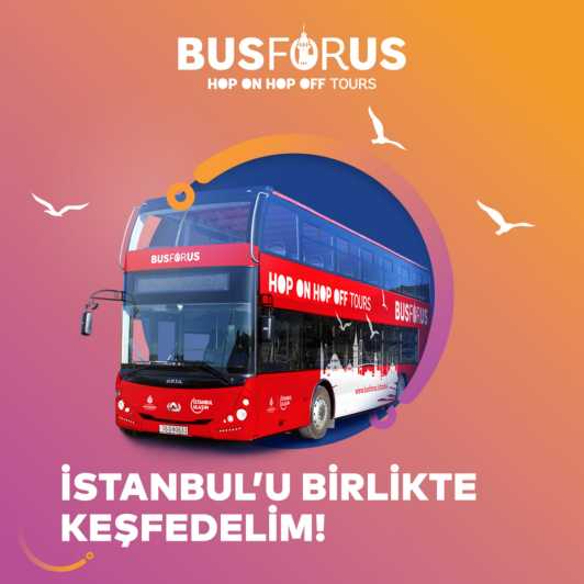 Istanbul: 48-Hour Hop-On Hop-Off Double Decker Bus Ticket - What this bus tour is really good for