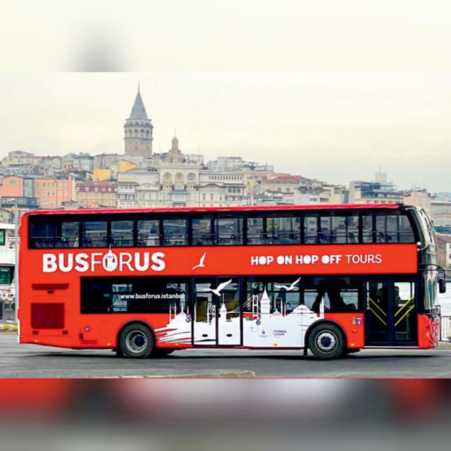 Istanbul: 48-Hour Hop-On Hop-Off Double Decker Bus Ticket - Crowds, cruise ships, and the best way to use two days