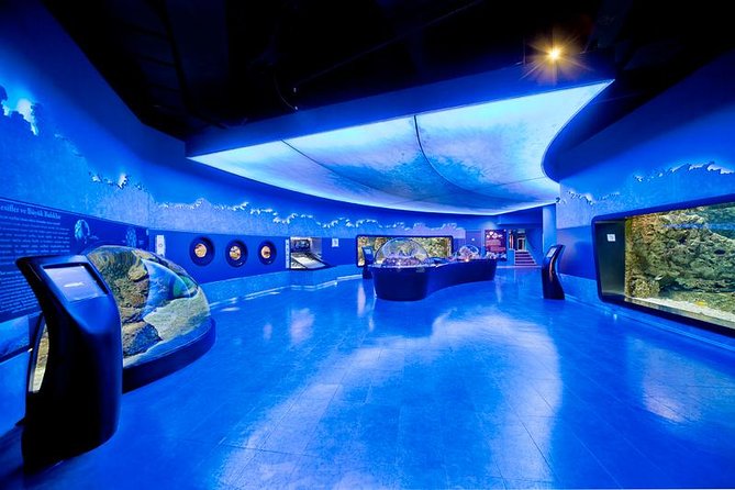 Istanbul Aquarium and Aqua Florya Independent Shopping Trip - The essential details at a glance