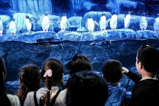 Istanbul Aquarium and Aqua Florya Independent Shopping Trip - What the two-hour aquarium visit feels like