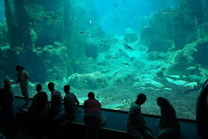 Istanbul Aquarium and Aqua Florya Independent Shopping Trip - Aqua Florya: shopping beside the sea