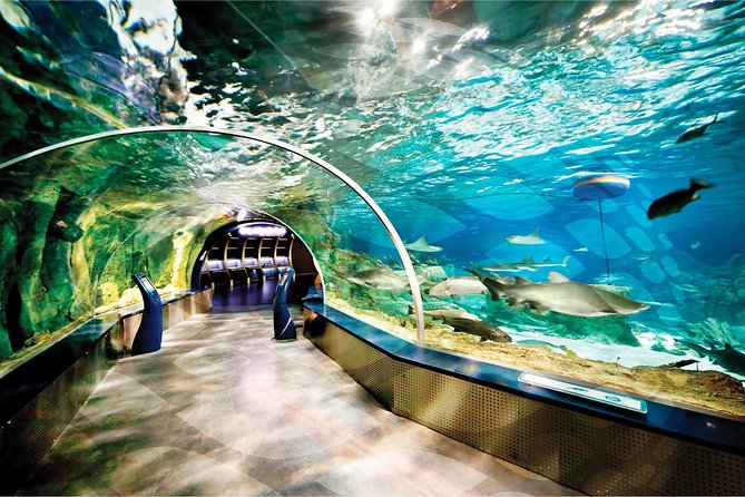Istanbul Aquarium and Aqua Florya Independent Shopping Trip - Is the $300.06 price good value?