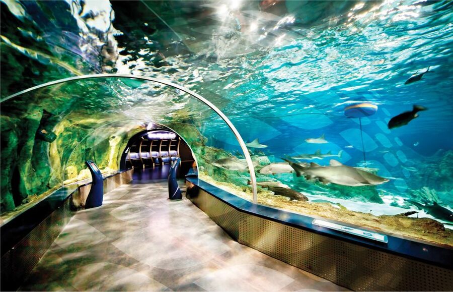 Istanbul Aquarium and Aqua Florya Shopping Mall Tour - Key points to know before you book