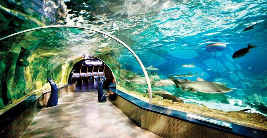Istanbul Aquarium and Aqua Florya Shopping Mall Tour - Why this aquarium makes sense in Istanbul