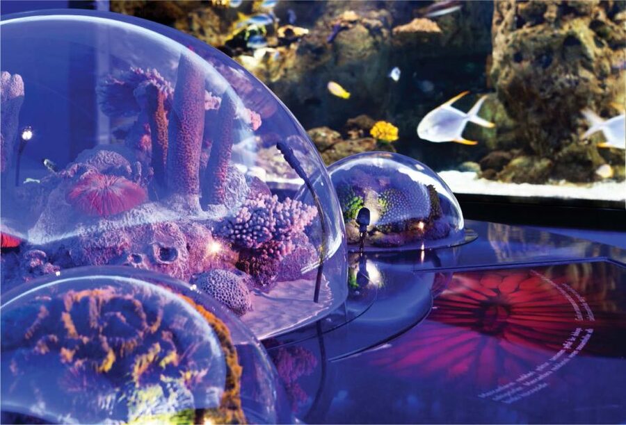 Istanbul Aquarium and Aqua Florya Shopping Mall Tour - Transport, timing, and the five-hour schedule