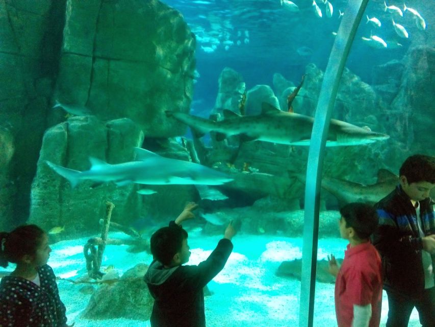 Istanbul Aquarium and Aqua Florya Shopping Mall Tour - Is $177 a fair price?