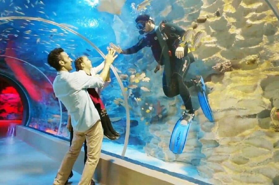 Istanbul Aquarium and Aqua Florya Shopping Mall Tour - Who should book this Istanbul outing?