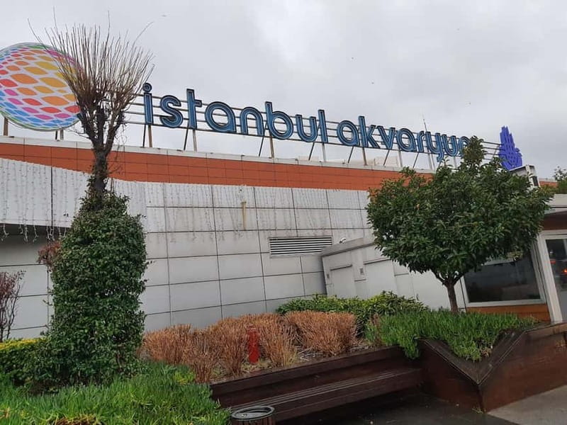 Istanbul: Aquarium Ticket and Round Trip Shuttle from Taksim - Should you book the Istanbul Aquarium shuttle?
