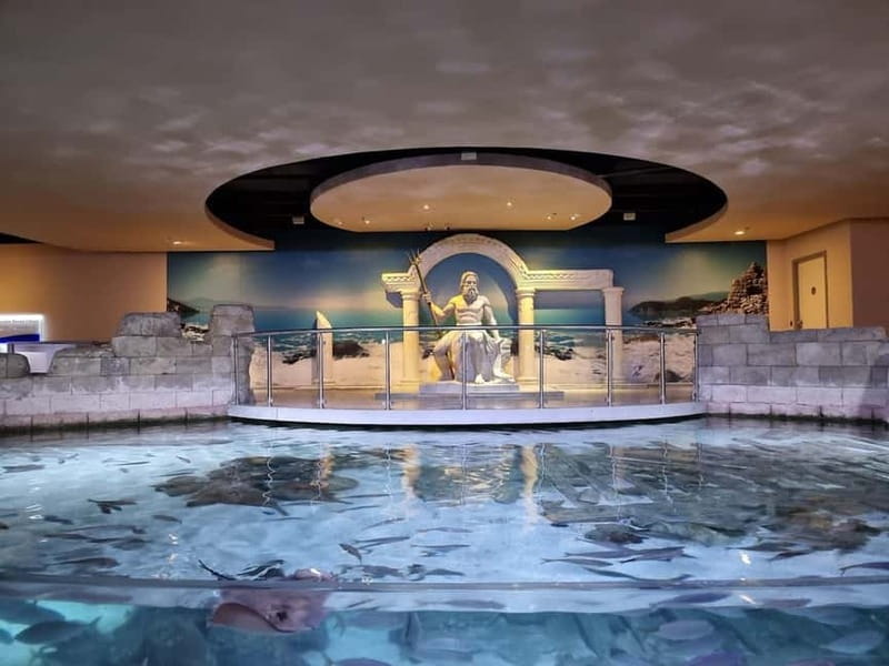 Istanbul: Aquarium Ticket and Round Trip Shuttle from Taksim - Sharks, penguins, piranhas, and the creatures worth seeking