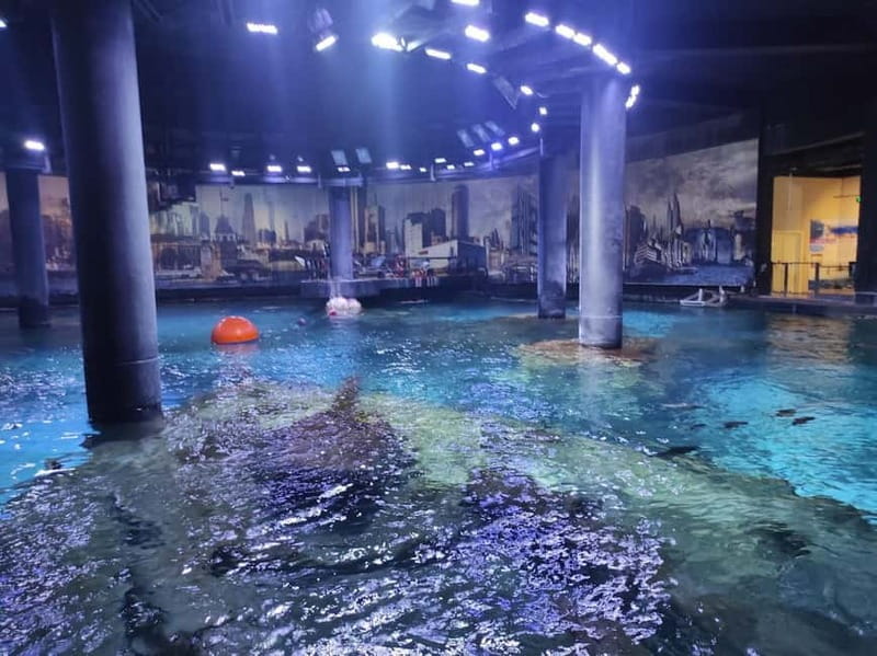 Istanbul: Aquarium Ticket and Round Trip Shuttle from Taksim - How much time should you allow at the aquarium?