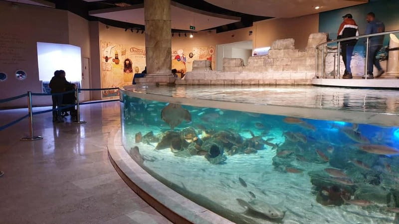 Istanbul: Aquarium Ticket and Round Trip Shuttle from Taksim - Is the $33 price fair?