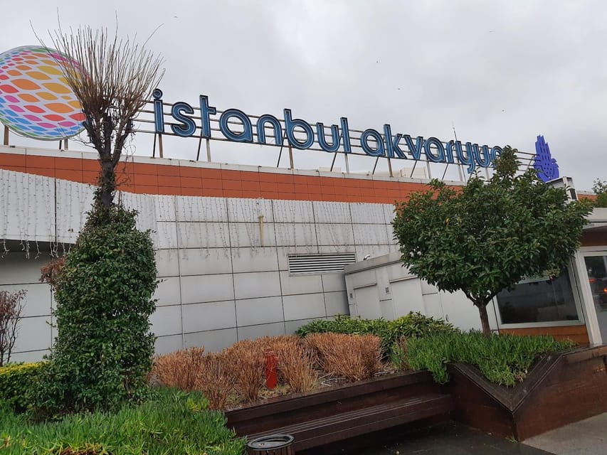 Istanbul: Aquarium Ticket and Round Trip Shuttle from Taksim - Practical advice for a smoother visit