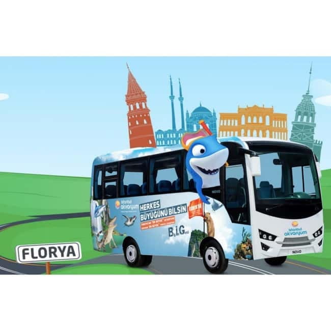 Istanbul: Aquarium Ticket with Shuttle Bus from Sultanahmet - Key Points At A Glance