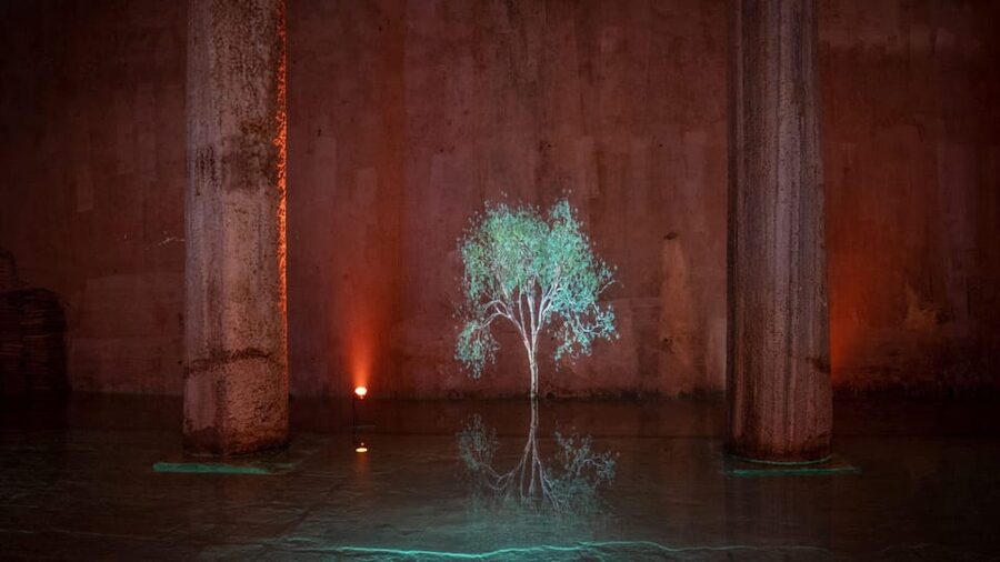 Istanbul: Basilica Cistern Skip-the-Ticket-Line Guided Tour - How Crowds Affect the Experience
