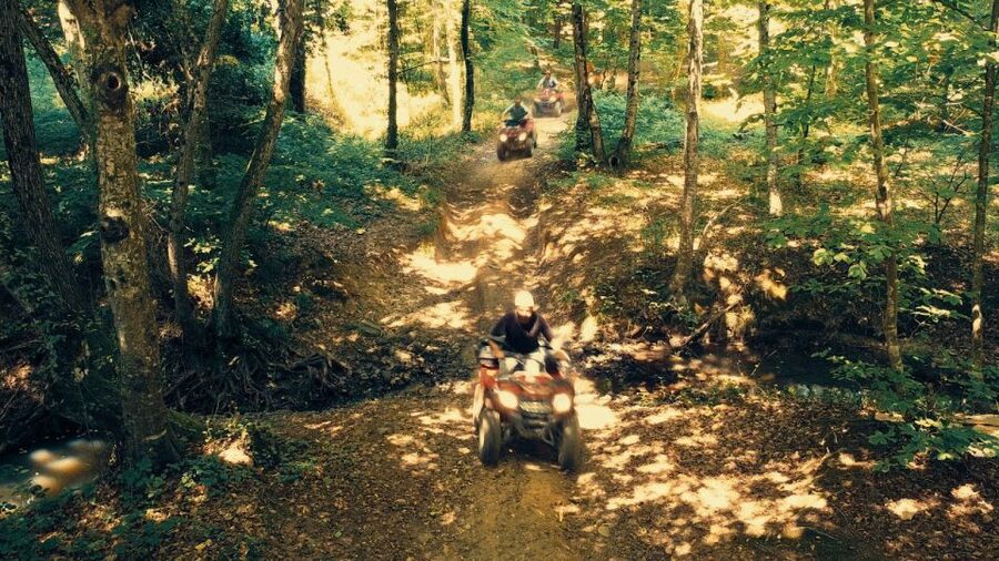 Istanbul: Belgrad Forest ATV Tour with Ziplining Option - Riding through the trees for 30 to 40 minutes