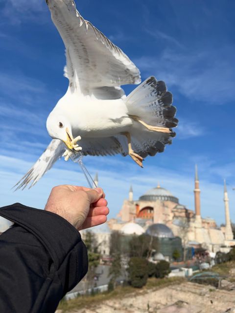 Istanbul: Best of The City Full-Day Tour with Transfers - Timing, transport, and walking demands