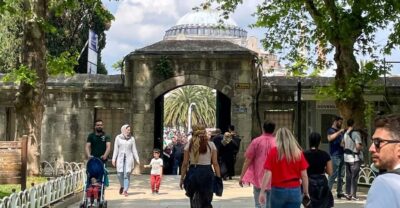 Blue Mosque, Basilica Cistern, & Hagia Sophia Tour