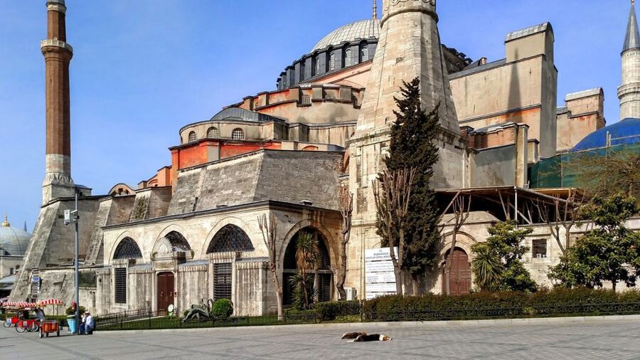 Istanbul: Blue Mosque & Hagia Sophia Guided Tour w/ Tickets - Walking from the mosque to Hagia Sophia