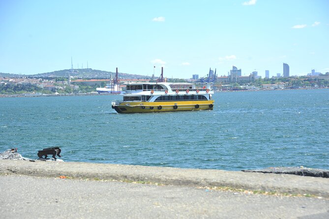 Istanbul: Bosphorus and Golden Horn Cruise with Audio Guide - Maiden’s Tower and the return trip