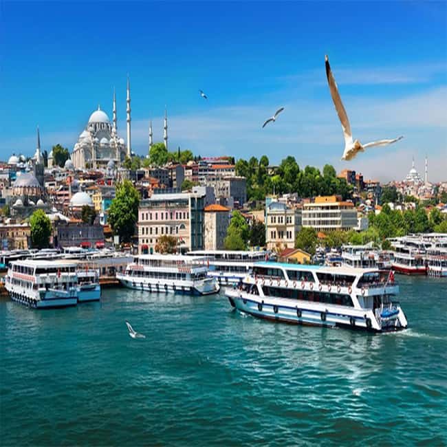 Istanbul: Bosphorus Cruise Morning or Sunset Boat Tour - Rumeli Hisari and the bridges