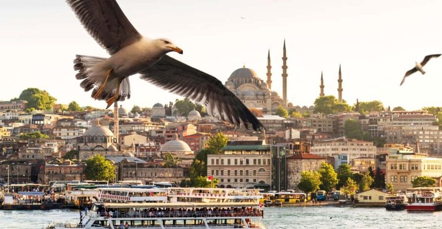Istanbul: Bosphorus Dinner Cruise with Private Table & Show - Why a Bosphorus Dinner Works So Well at Night