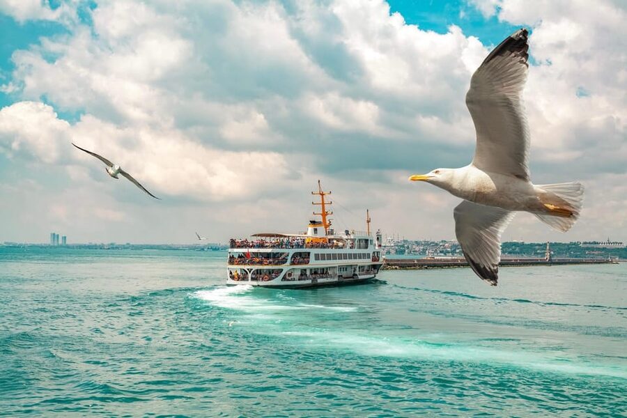 Istanbul: Bosphorus Strait Sightseeing Cruise & Audio Guide - Ortaköy and the first Bosphorus Bridge