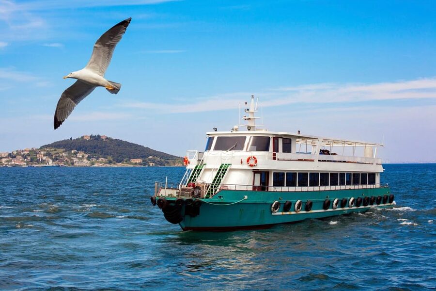 Istanbul: Bosphorus Strait Sightseeing Cruise & Audio Guide - Rumeli Hisarı and the narrowest stretch