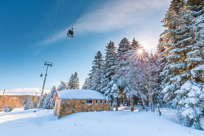 Istanbul: Bursa and Uludag Mountain Day Trip with Cable Car - Is $66.52 good value?