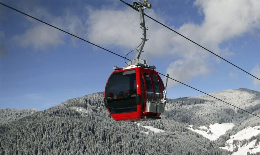 Istanbul: Bursa & Uludag Mountain Day Trip w/ Opt. Cable Car - The 610-year-old Inkaya plane tree