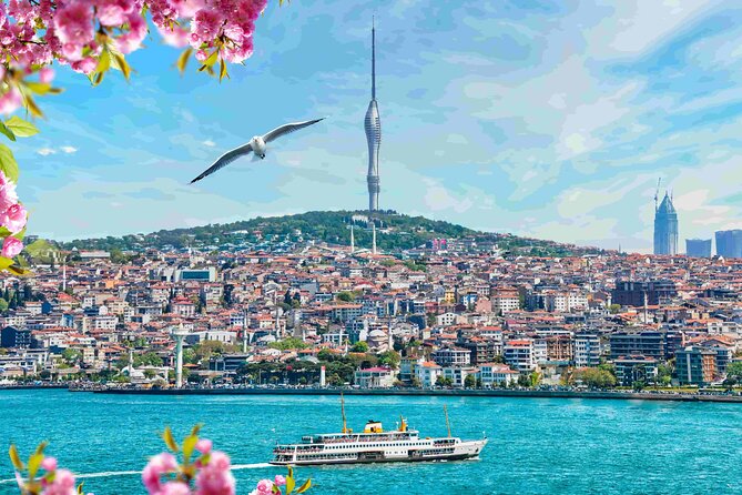 Istanbul Camlica Tower: Private Entry, Transfer & Dine Choices - Is $38.62 a Good Value?