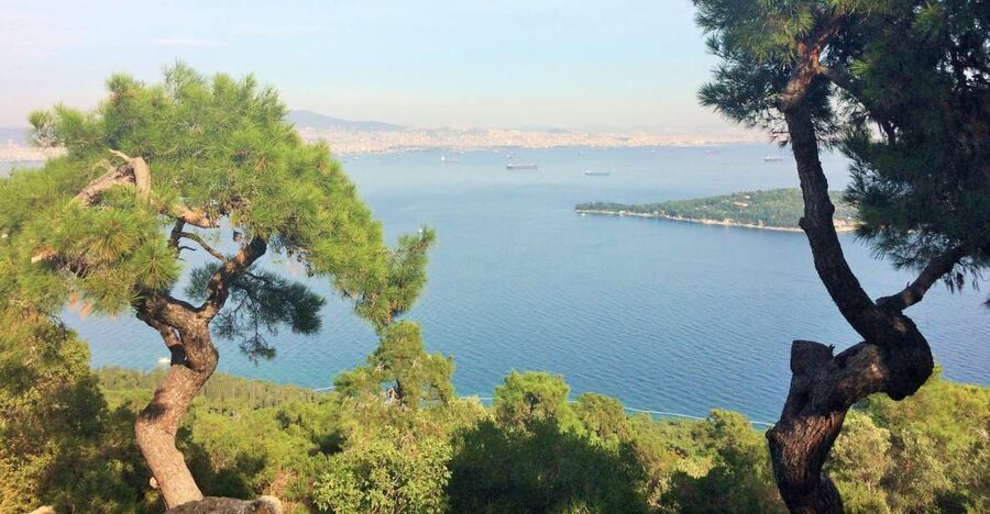 Istanbul: Day Trip to the Princes' Islands - Key Points Before You Book