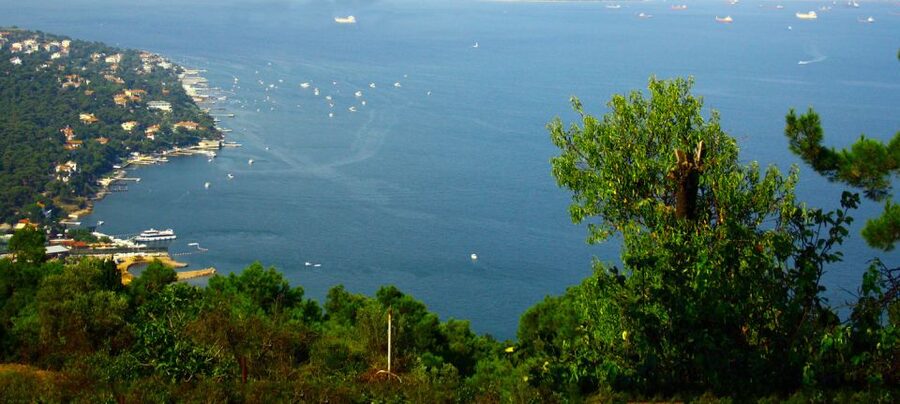 Istanbul: Day Trip to the Princes' Islands - Reaching Büyükada and Finding Your Bearings
