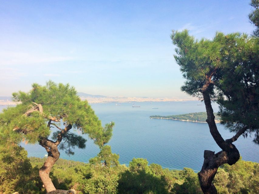 Istanbul: Day Trip to the Princes' Islands - The Ferry Across the Marmara Sea