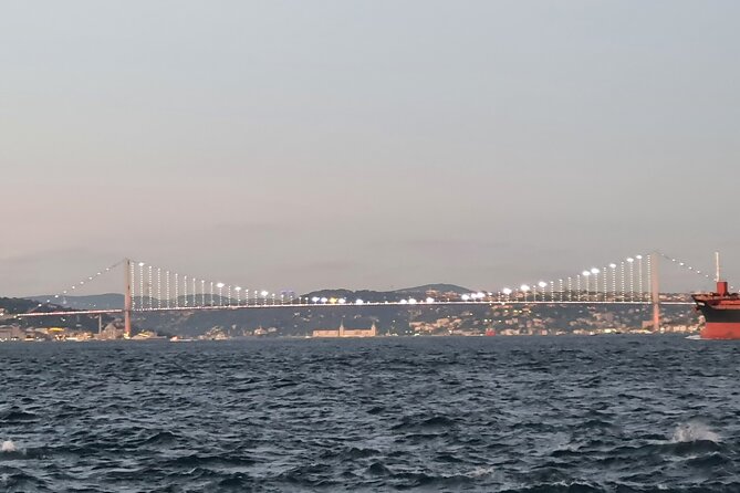 Istanbul famous sight Skip-the-Line Private Tour with LocalExpert - The Blue Mosque and the practical side of visiting