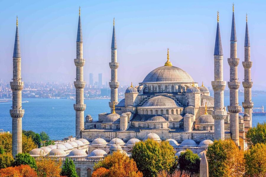 Istanbul: Full-Day Guided Tour - Lunch and What the Price Covers