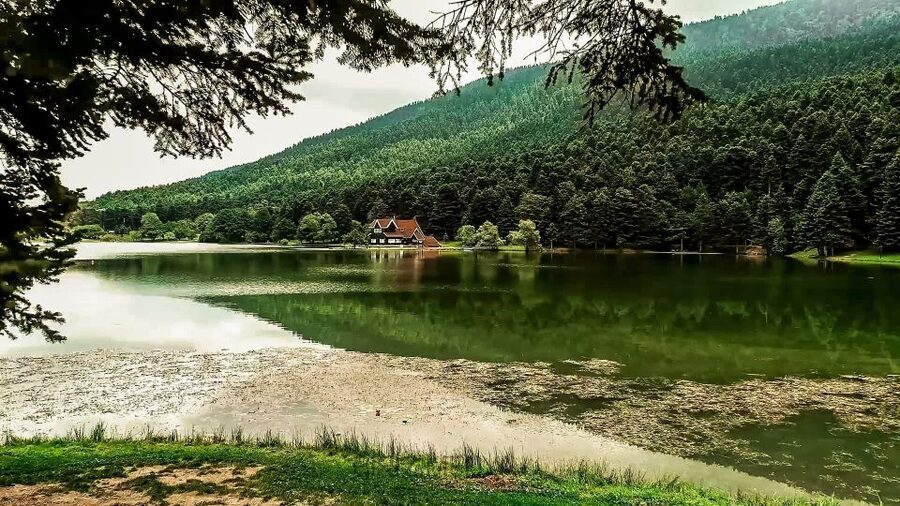 Istanbul: Full-Day Sapanca Lake and Masukiye Tour with Lunch - Masukiye’s forests and optional activities
