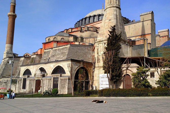Istanbul Guided Tour Hagia Sophia, Topkapi, Cistern with Tickets - What the walking pace feels like