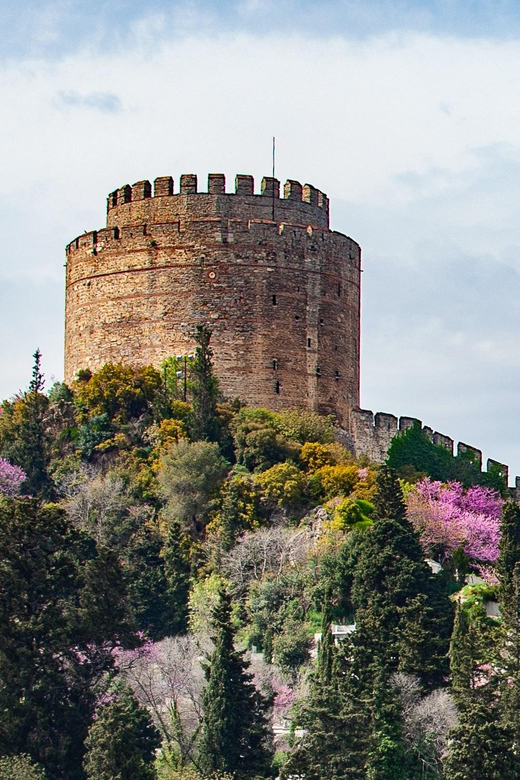 Istanbul: Morning or Sunset Cruise with Guide and Snacks - Why Seeing Istanbul From the Bosphorus Matters