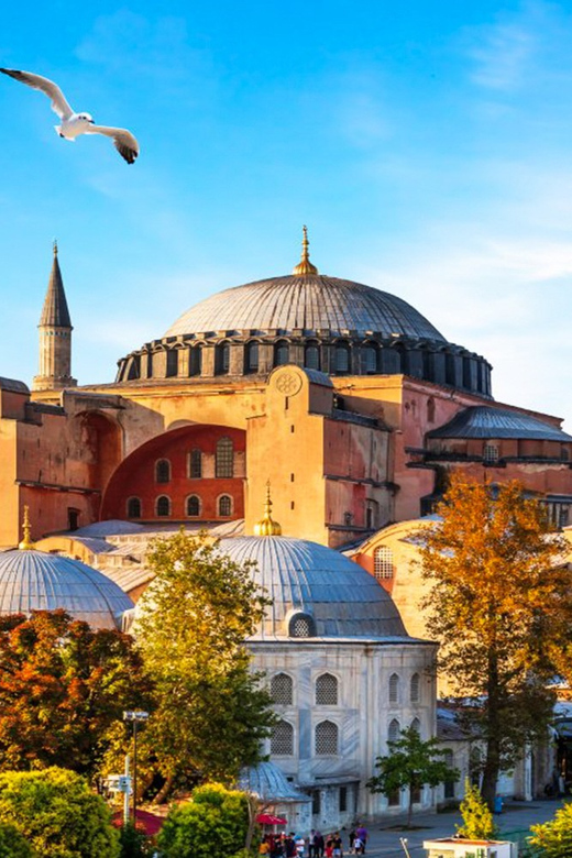 Istanbul: Old City Full-Day Tour -(Entry Fees Inculucing) - Blue Mosque and its famous Iznik tiles