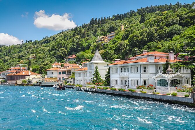 Istanbul Princes’ Islands Boat Trip with Lunch - The Bosphorus views before the islands