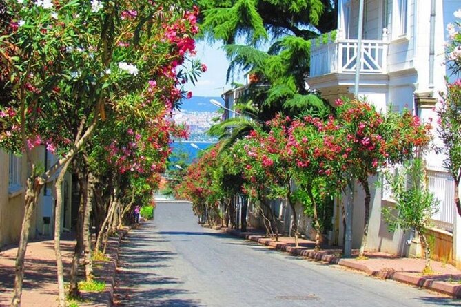 Istanbul: Princes Islands Tour with Heybeliada and Buyukada - Heybeliada: green paths and a short walk