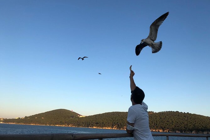 Istanbul: Princes Islands Tour with Heybeliada and Buyukada - Büyükada: mansions, cafés, and the longest free period