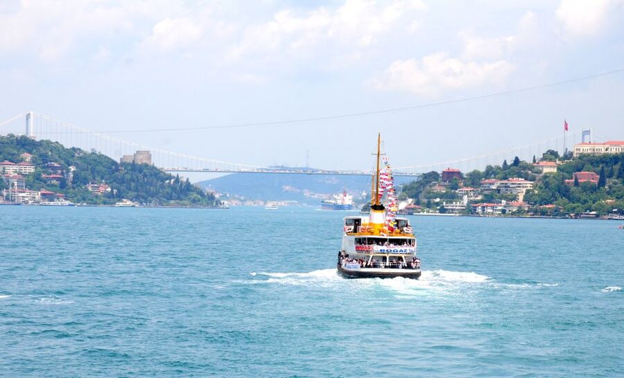 Istanbul: Princes' Islands Tour with Lunch and Transfers - Buyukada: Old Villas, Quiet Roads, and Pine Trees