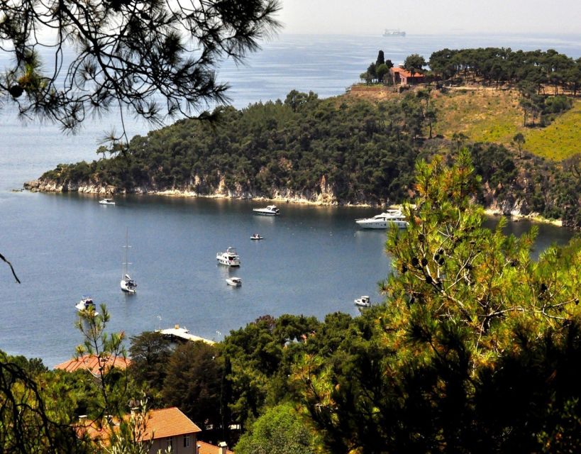Istanbul: Princes' Islands Tour with Lunch and Transfers - Lunch on the Boat