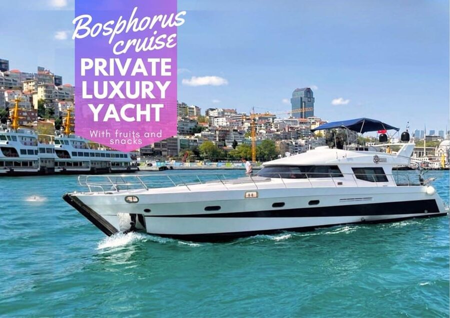 Istanbul: Private Bosphorus Cruise on Luxury Yacht - Drawbacks worth considering before booking