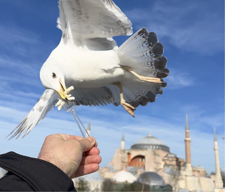 Istanbul: Private City Tour with Transportation - Pickup and the role of transportation