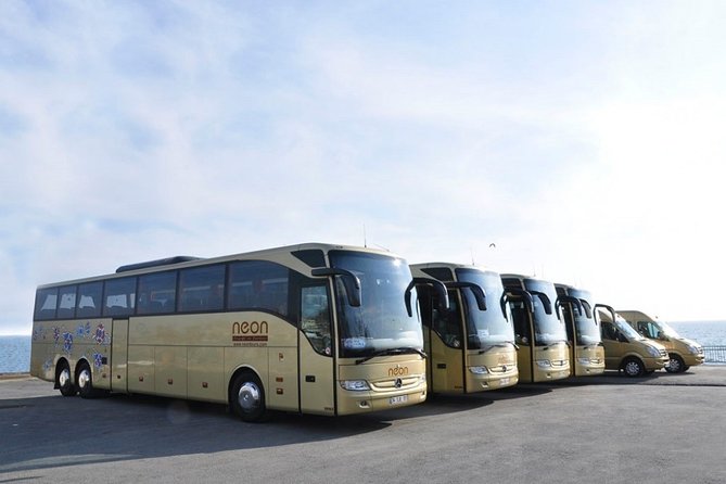 Istanbul Private Cruise Port to City Hotel Transfer - Luggage, group size, and comfort