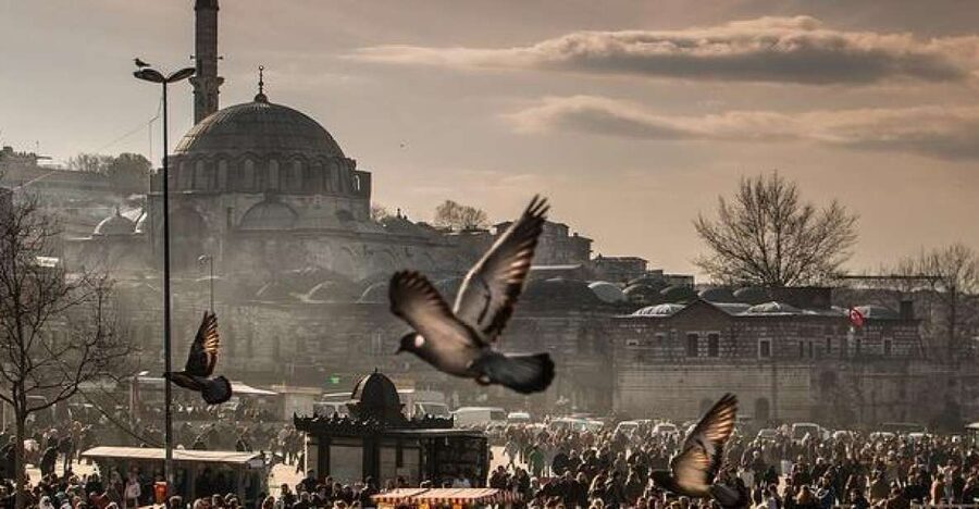Istanbul: Private Full-Day Old City Highlights Tour - Why this private Old City tour works well